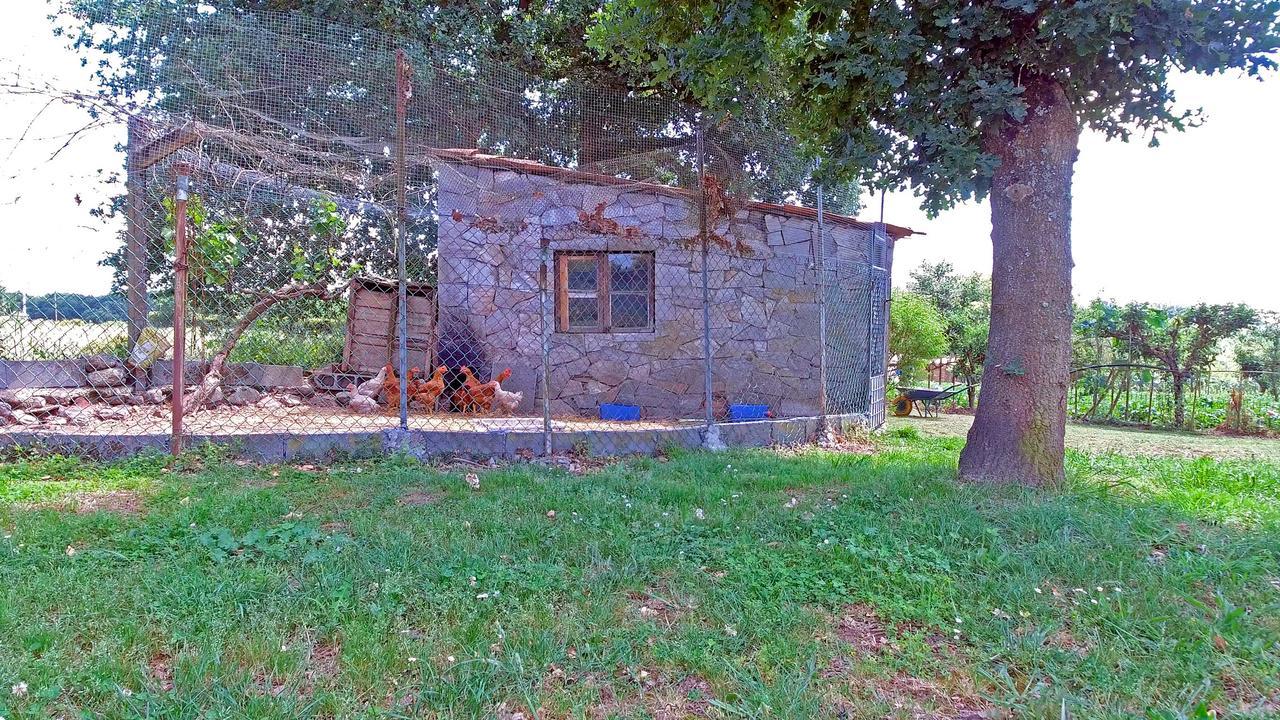 Torre Vilarino Affittacamere Vilarino  Esterno foto